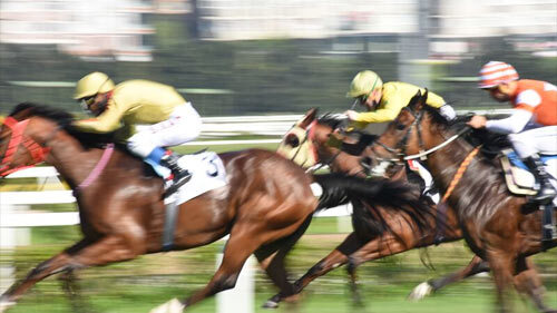 サラトガ競馬場